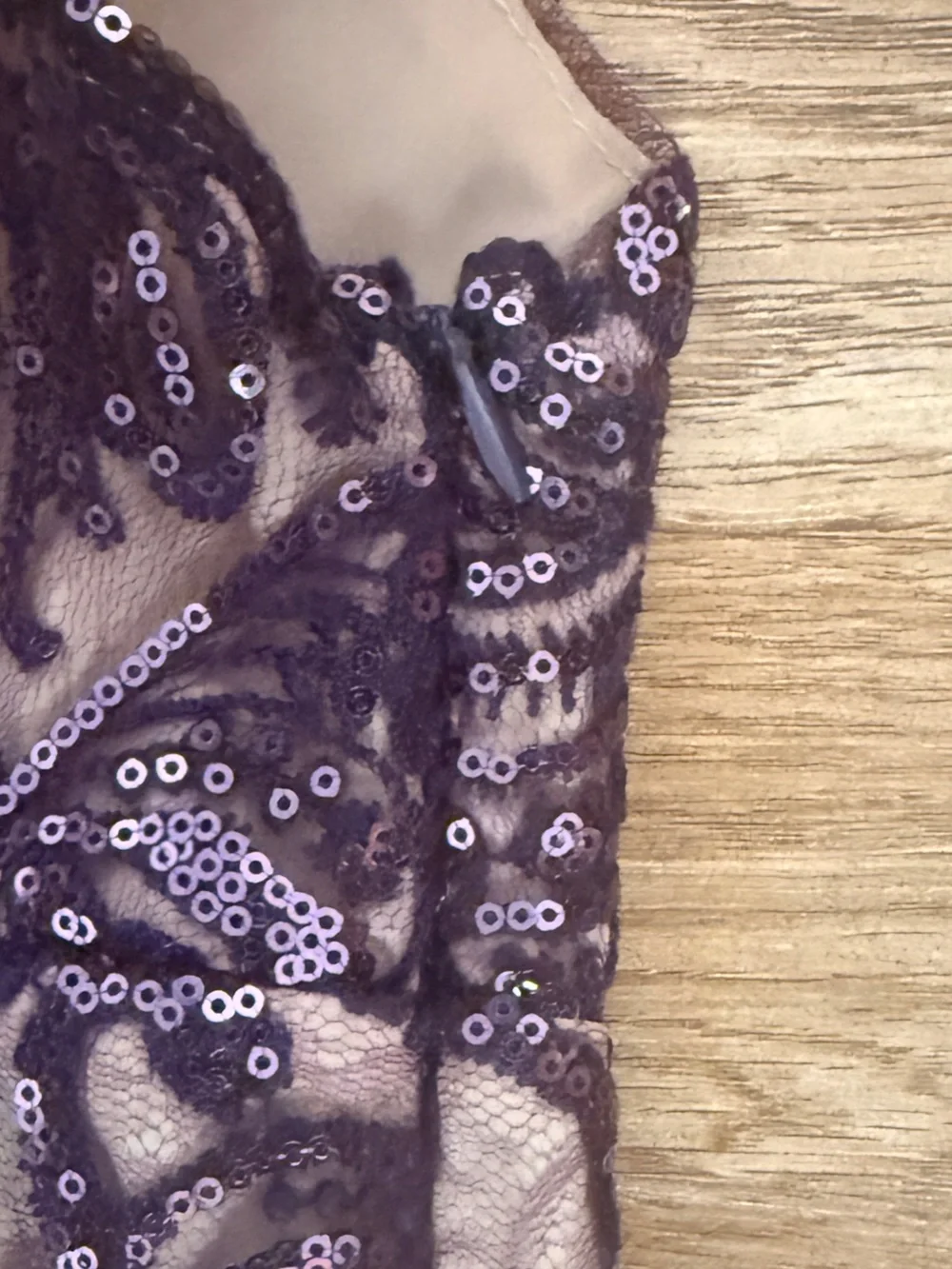 Free People Purple Night Shimmers Sequin Lace Mini Dress
